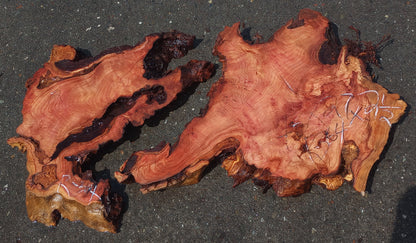 epoxy river table | redwood burl | Wall sculpture | DIY wood crafts | R-34