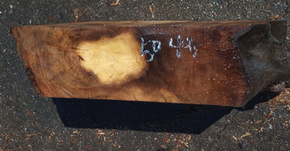 Myrtle wood burl | wood turning | DIY wood crafts | bowl turning | mbl5049