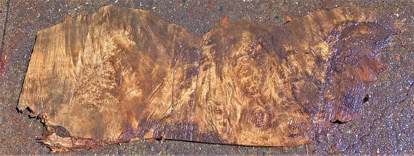 Poplar slab | live edge burl | river table | DIY craft wood | p304