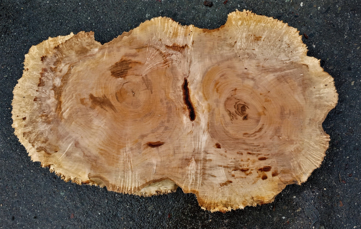 Maple burl | live edge slab | river table | DIY wood ideas | ma107