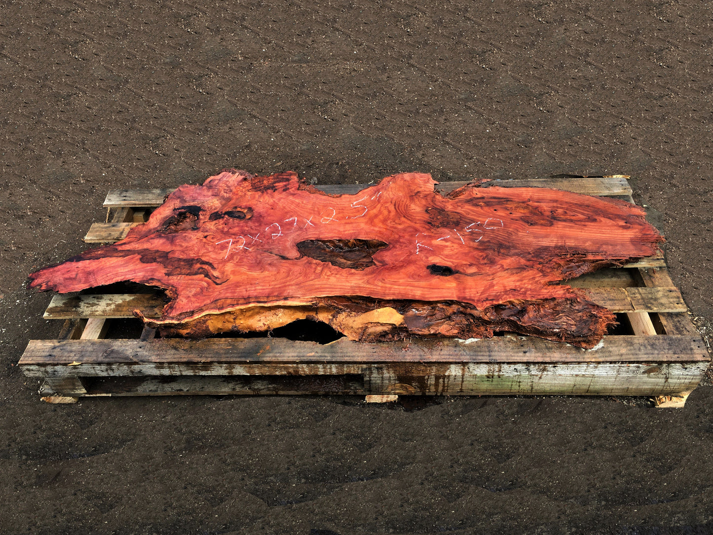 redwood burl | live edge slab | DIY wood crafts | r-150
