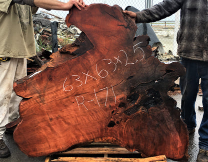 Redwood burl slab | live edge table | DIY wood crafts | river table | r-171