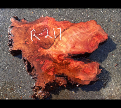 live edge slab | redwood burl | DIY wood crafts | burl clock | r-217