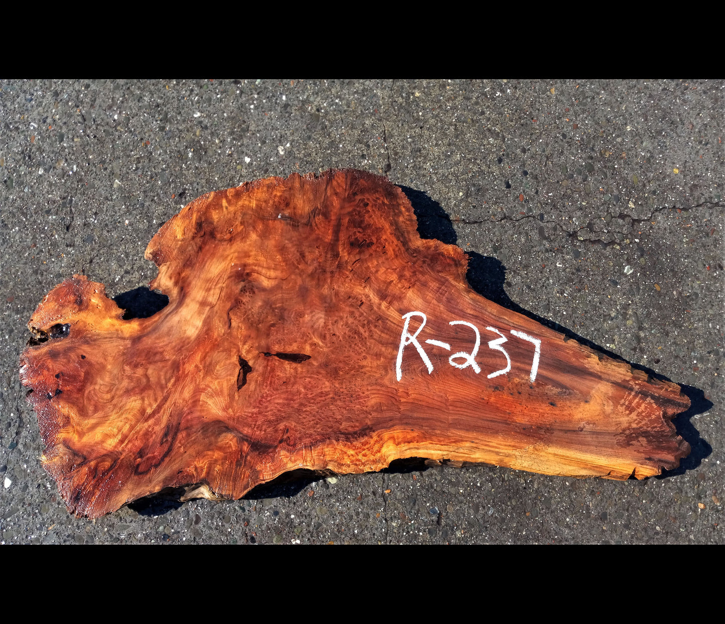 Live edge slab | Burl table | DIY wood crafts | r-237