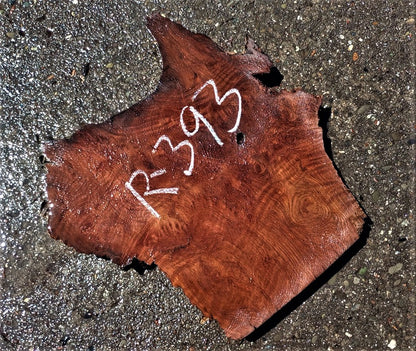 Redwood burl curl | live edge slab | guitar blank | DIY wood craft | r393