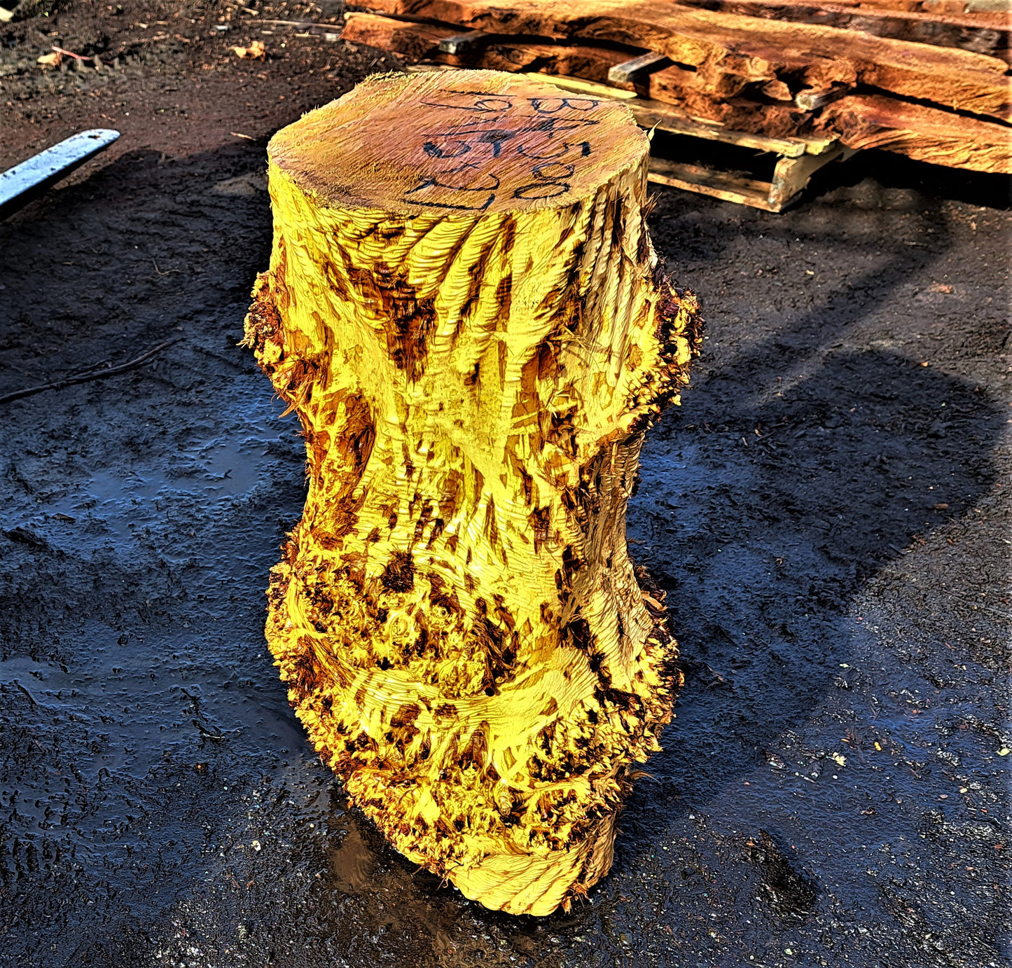 Maple burl base | Pedestal | trophy mount | DIY craft ideas | BA500