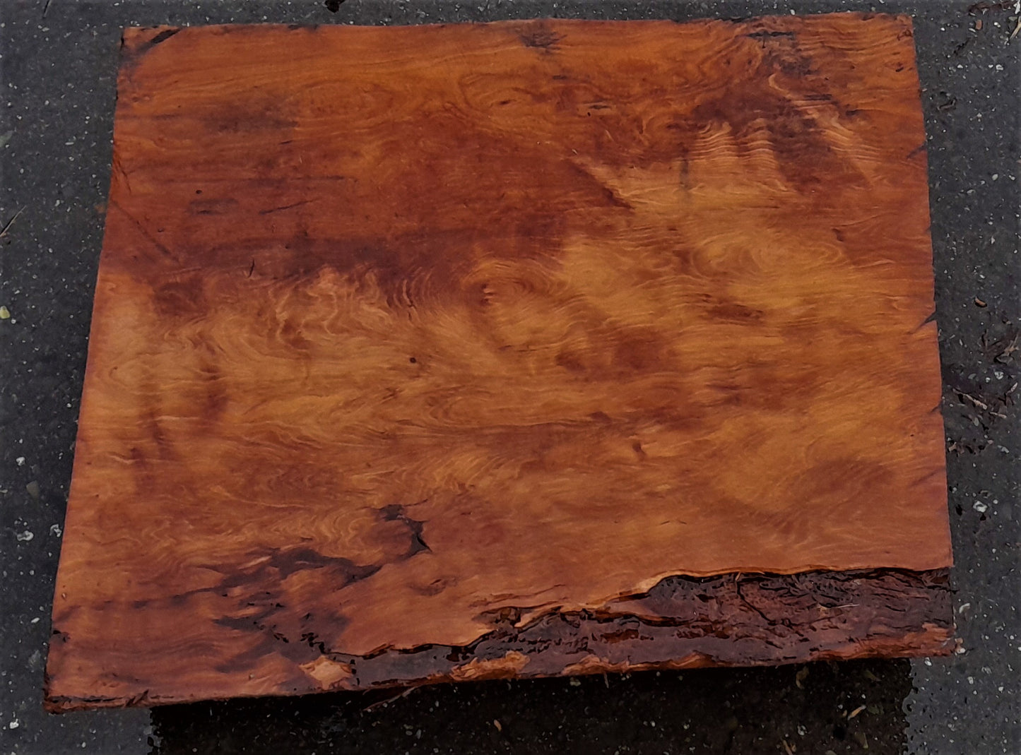 Redwood curly blank | DIY wood crafts | bowl turning | 21-0111-bl