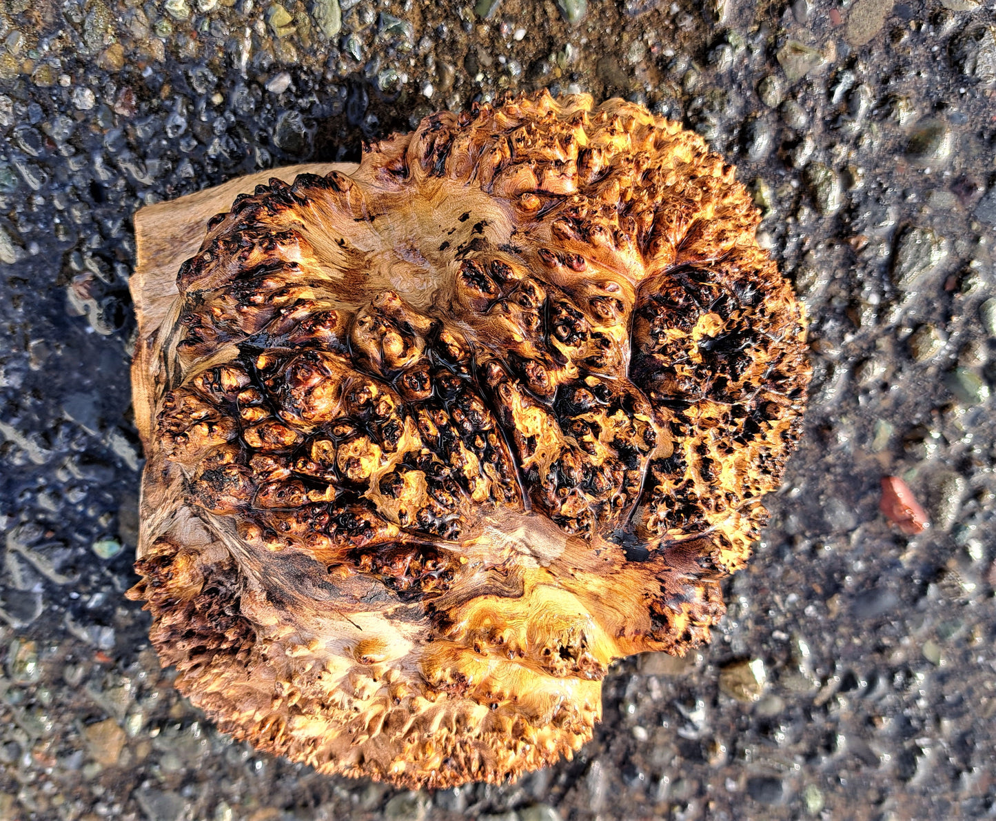 Maple cap | burl | live edge block | bowl turning | wood turning | BL5037