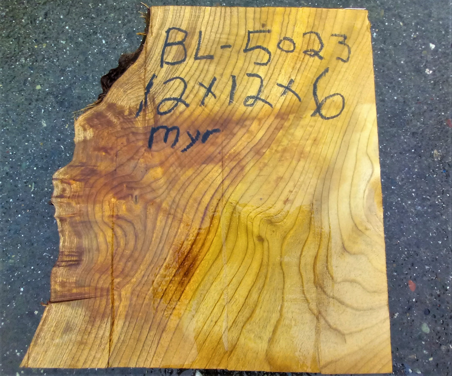 Myrtle burl | Bay Laural block | DIY wood crafts | wood turning | bl-5023