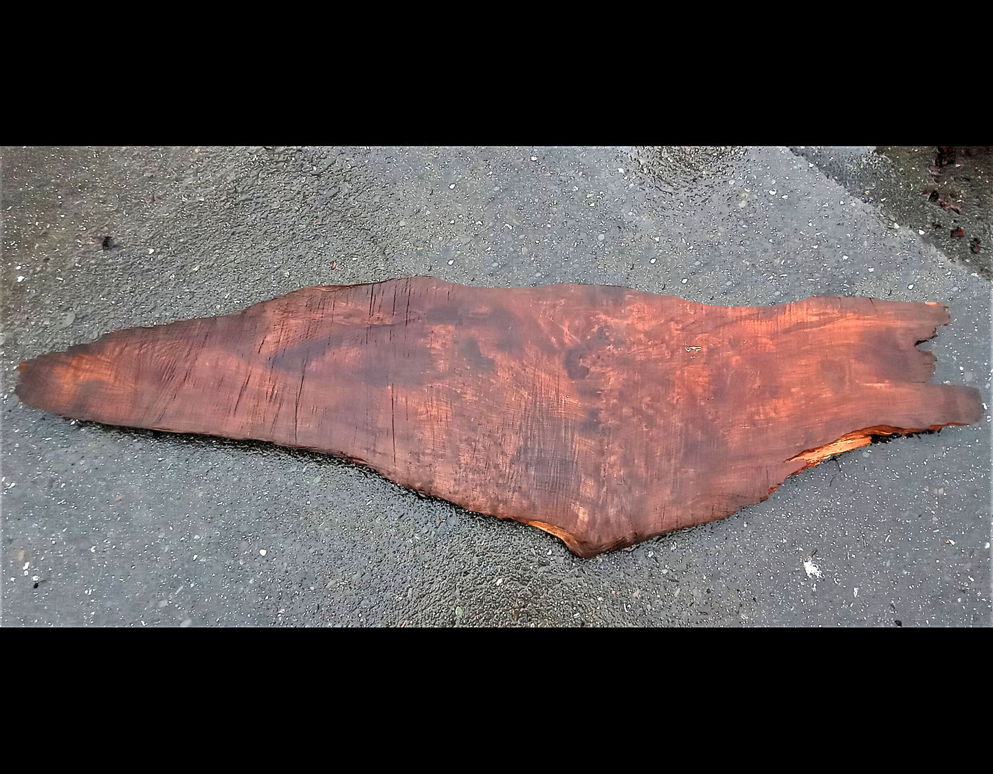 old growth | redwood burl | live edge | DIY craft wood | river table | BSZ31
