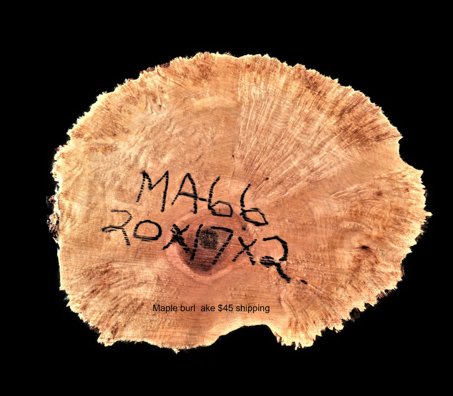 Maple burl | live edge slab | river table | DIY wood crafts | MA_66