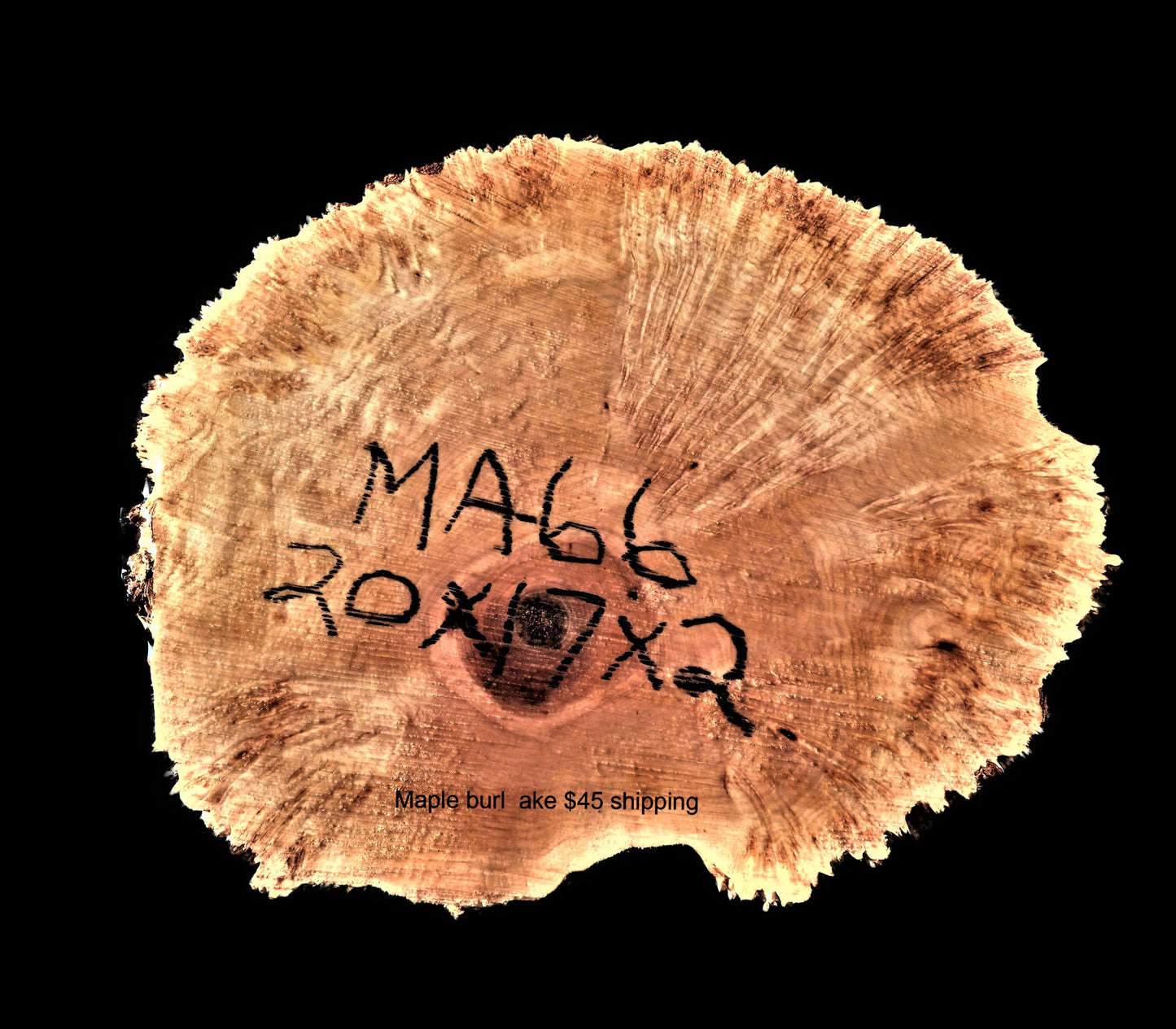 Maple burl | live edge slab | river table | DIY wood crafts | MA_66