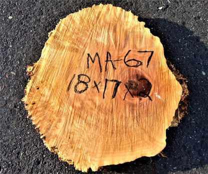 Maple burl slab | cookie cut | live edge wood | DIY wood crafts | MA-67