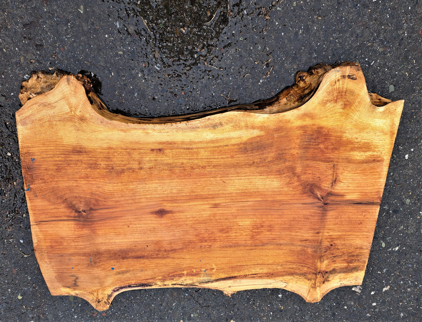 Maple slab | burl table | live edge slab | DIY wood crafts | ma-99