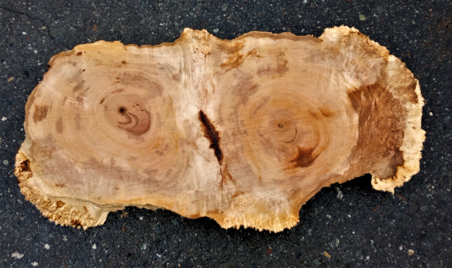 Maple burl | live edge slab | river table | DIY wood ideas | ma108
