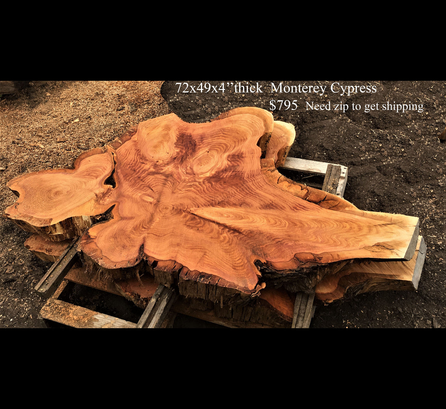 Monterey Cypress | cookie cut | rustic furniture | moncyp0001