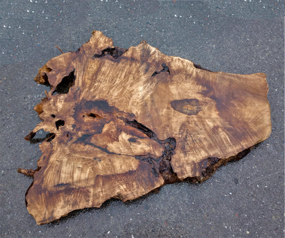 Myrtle burl | live edge slab | Bay Laurel | DIY wood ideas | mrt413