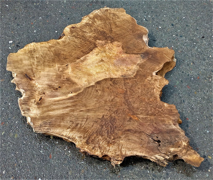 Live edge slab | Myrtle burl top | Bay Laural | DIY woods | mrt441