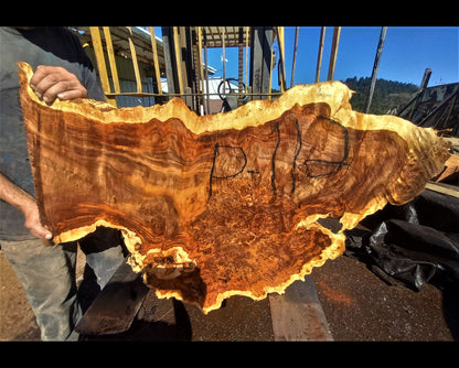 Pioplar burl slab | live edge slab | river table | DIY wood | P-112