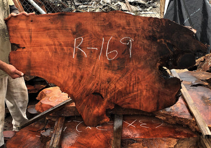 Live edge slab | redwood slab | burl table | DIY wood crafts | r-169