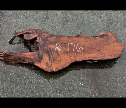 live edge slab |} redwood burl | burl table | DIY crafts | R-176