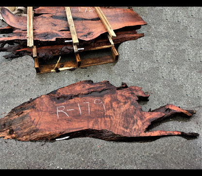 Live edge |  redwood slab | river table | DIY crafts | burl table | r-179