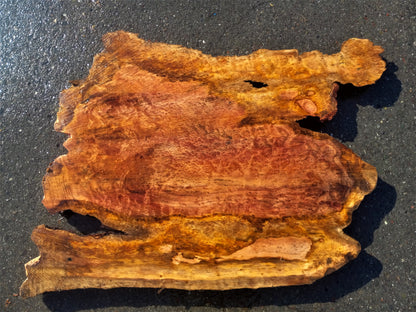Redwood lace burl | Live edge slab | river table | DIY wood crafts | R-353
