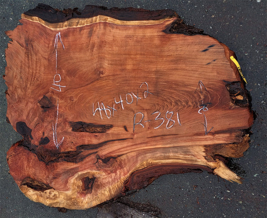 Redwood burl | live edge slab | burl table | DIY wood craft | r381