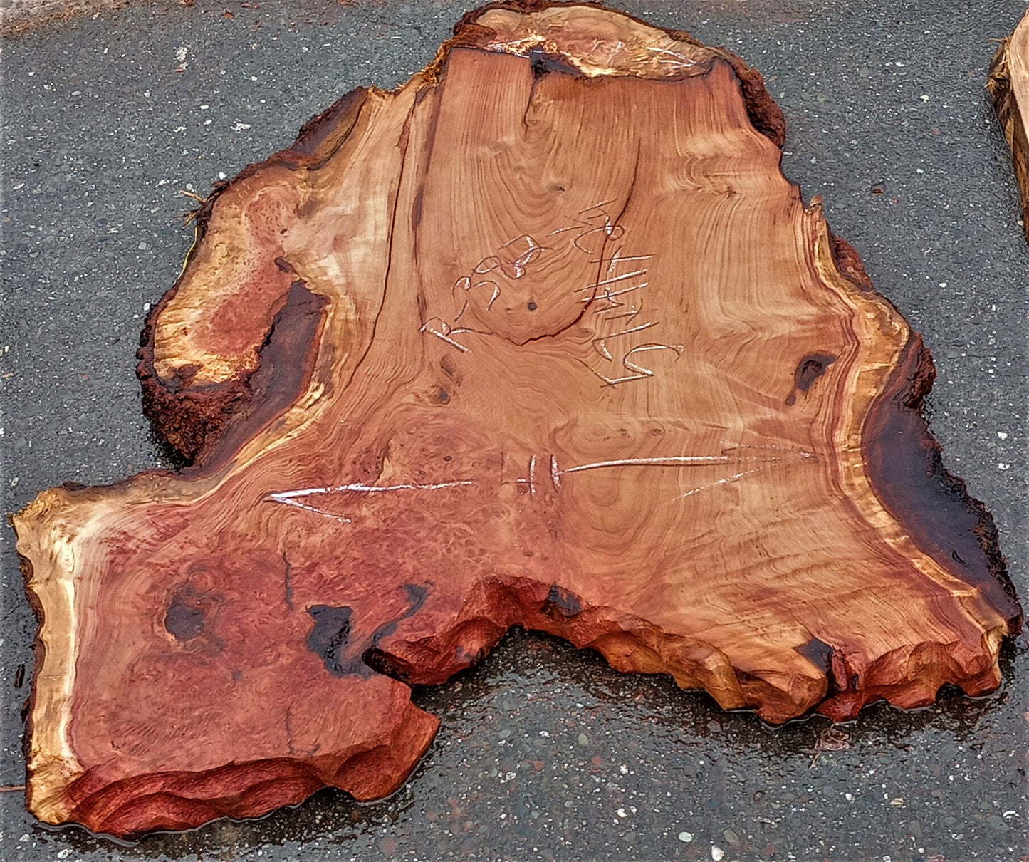Redwood burl | live edge slab | burl table | DIY wood craft | r382