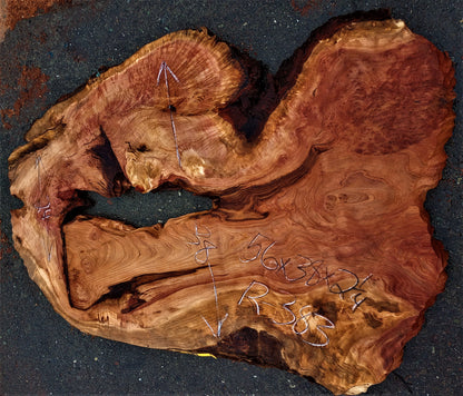 Redwood burl | live edge slab | burl table | DIY wood craft | r384