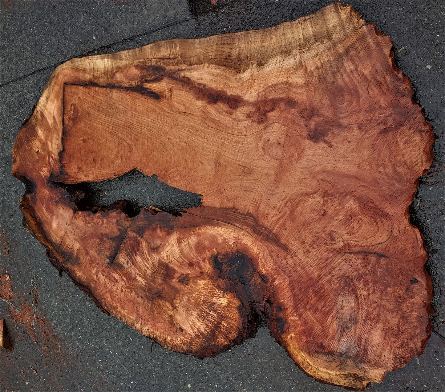 Redwood burl | live edge slab | burl table | DIY wood craft | r384
