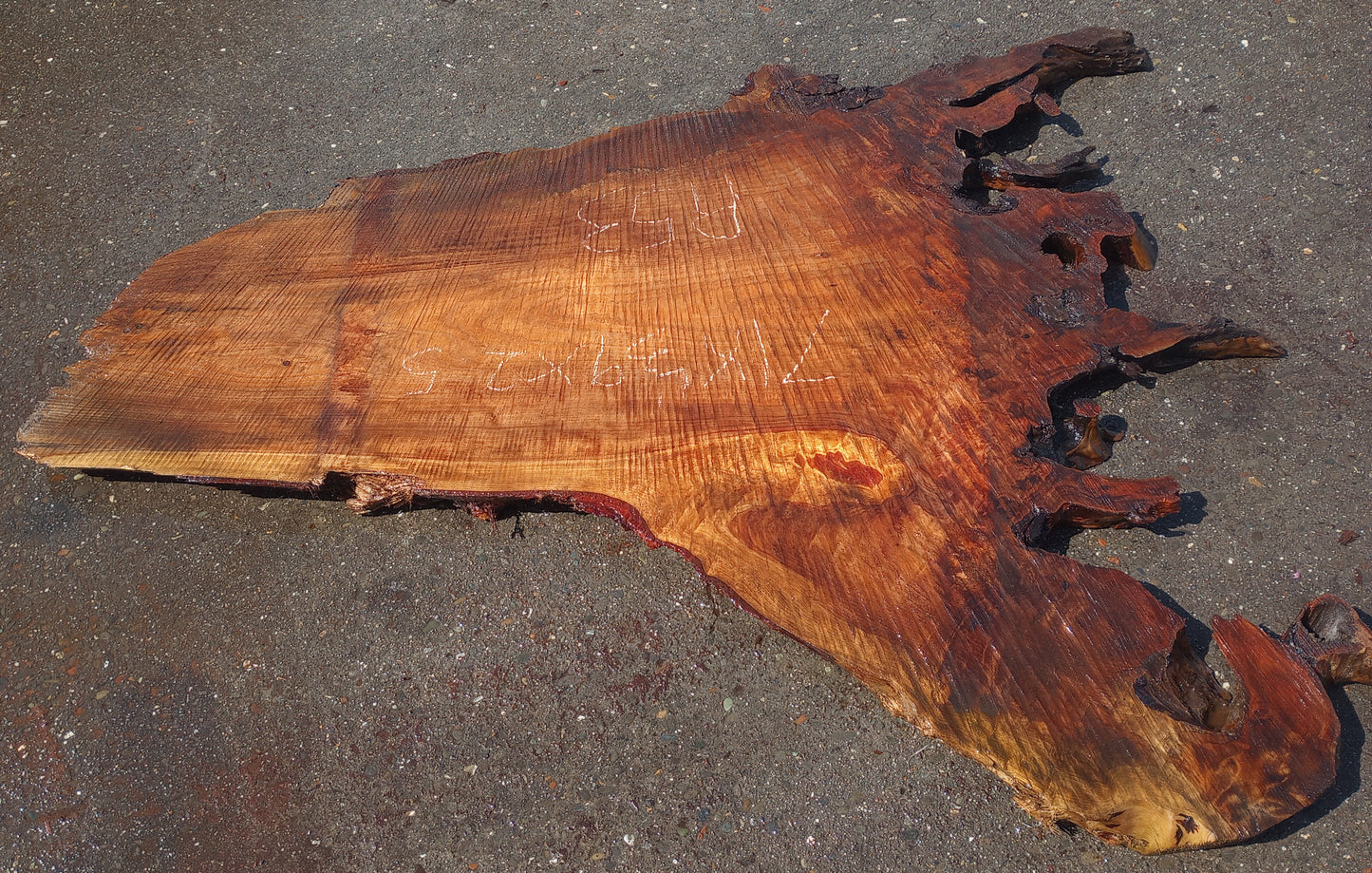 redwood burl slab | live edge slab | DIY wood crafts | Bar counter | r-53
