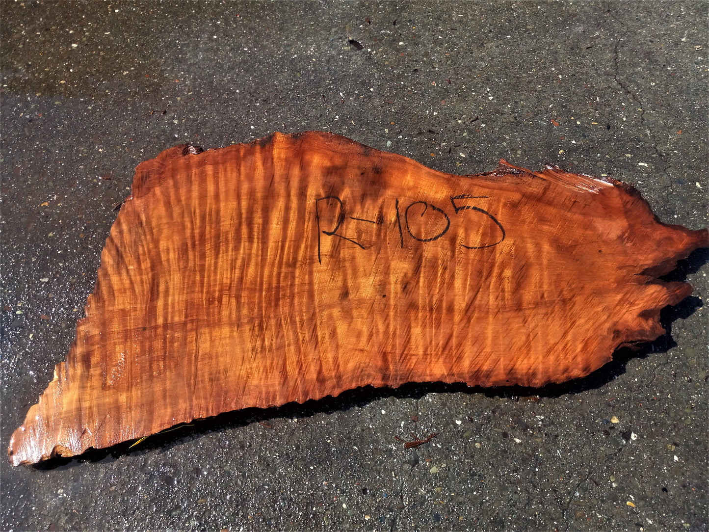 Redwood curly blank | DIY wood crafts | bowl turning | guitar blank | r105