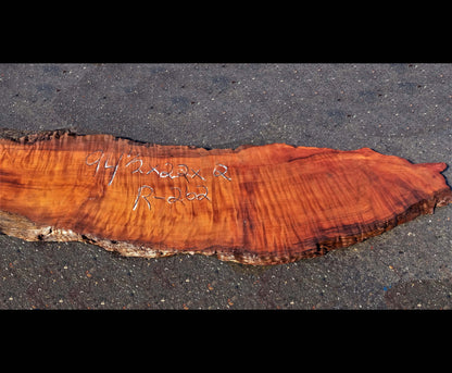 Curly Redwood | live edge slab | burl table | DIY wood craft | r202