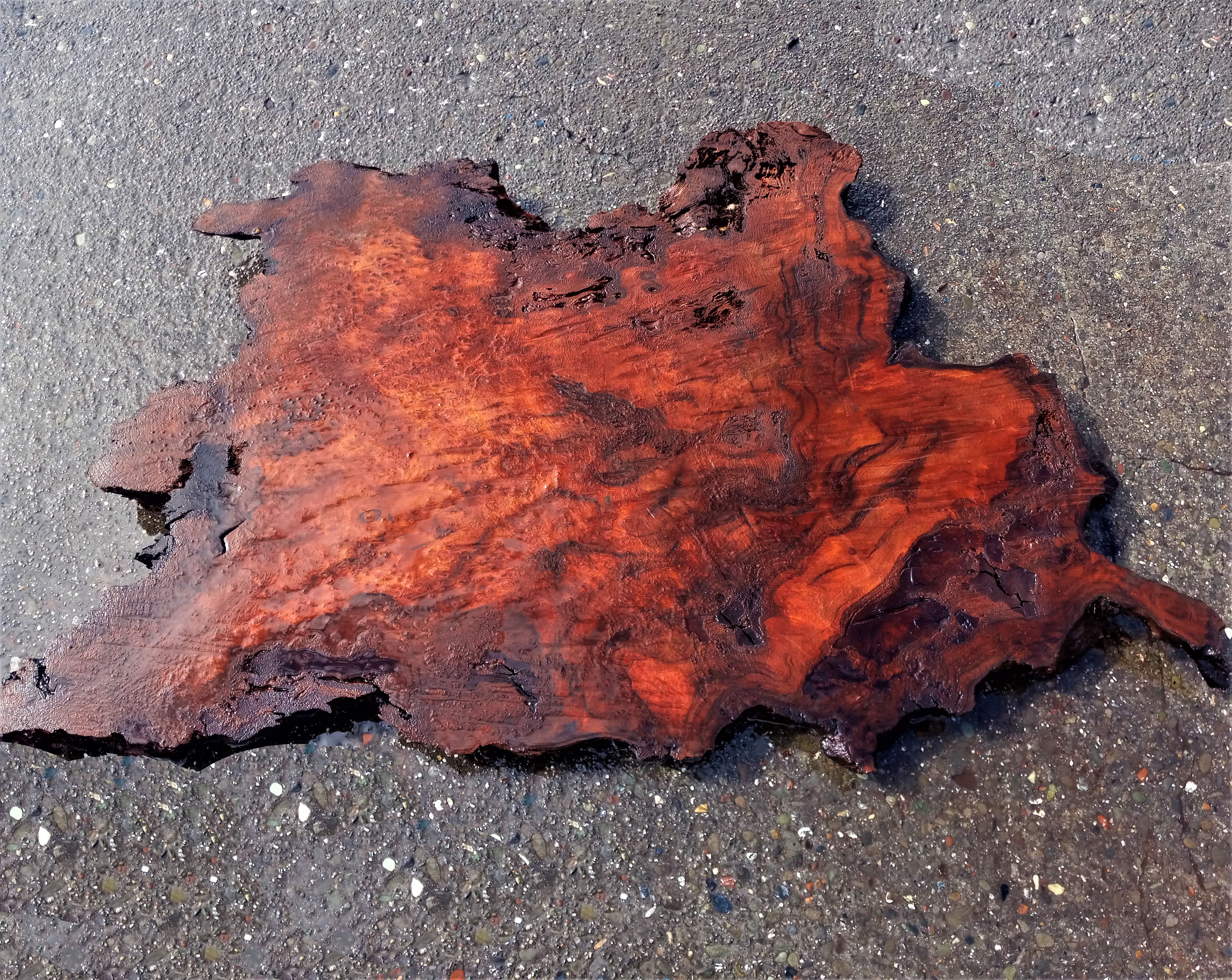 Old growth redwood | live edge slab | redwood burl | borl table | r-344