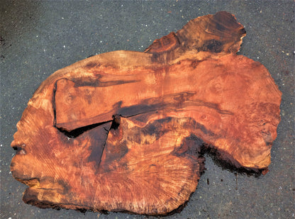 Redwood burl | live edge slab | burl table | DIY wood craft | r386