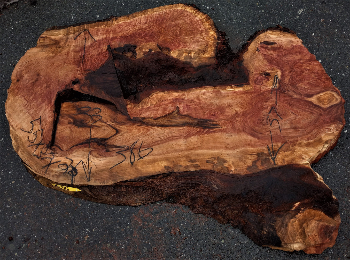 Redwood burl | live edge slab | burl table | DIY wood craft | r386
